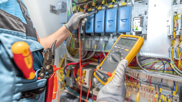 Best Electric Panel Repair  in Tulia, TX